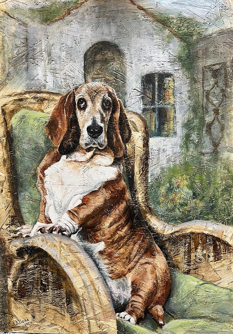 Basset hond