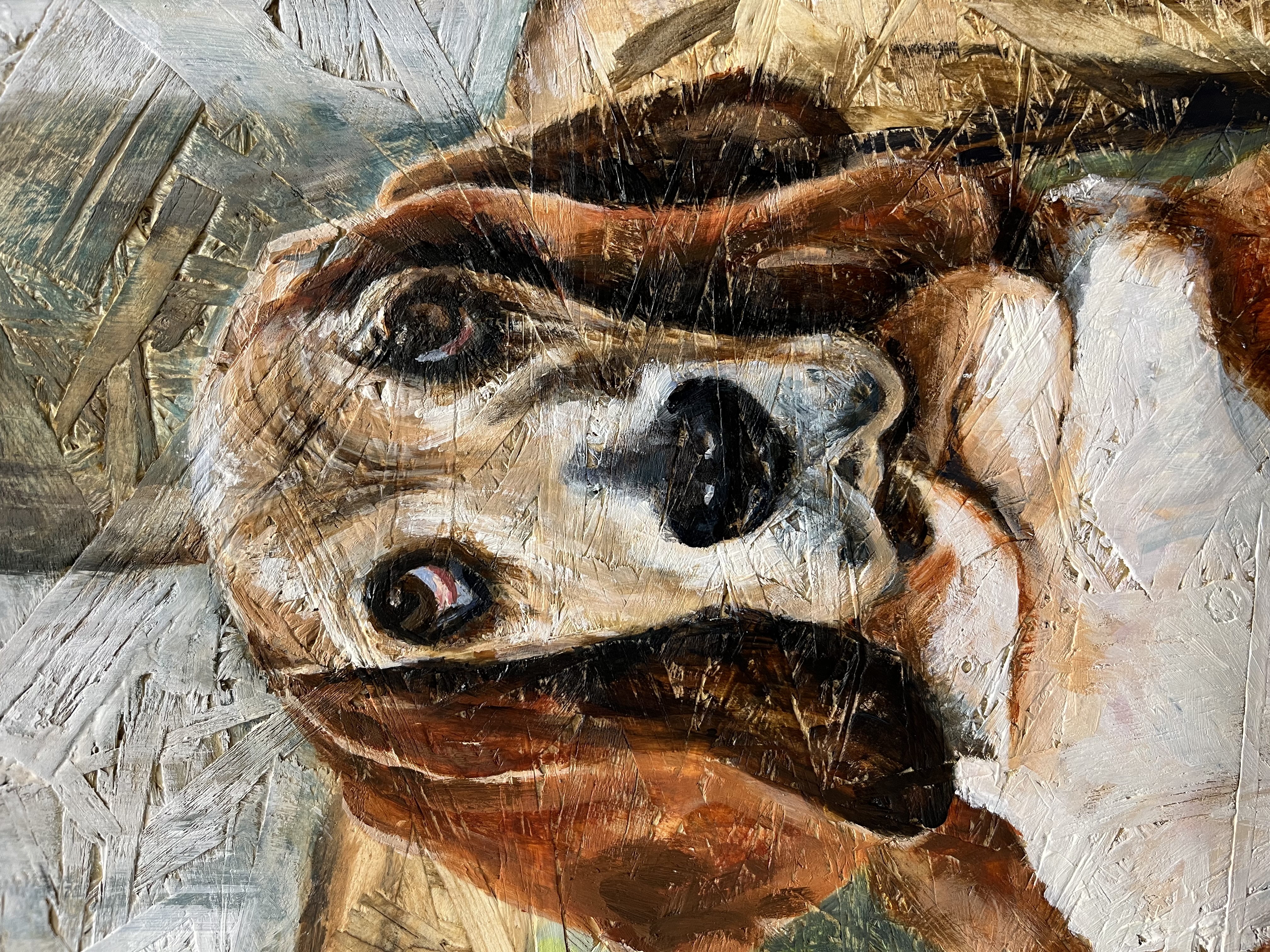 Basset hond