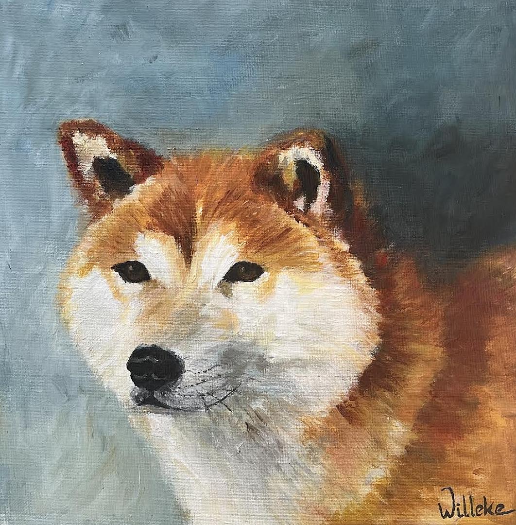 Ayko