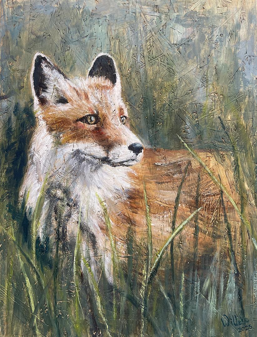 Vos in het gras